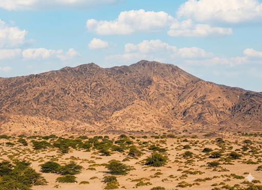 وادي المغمَّس